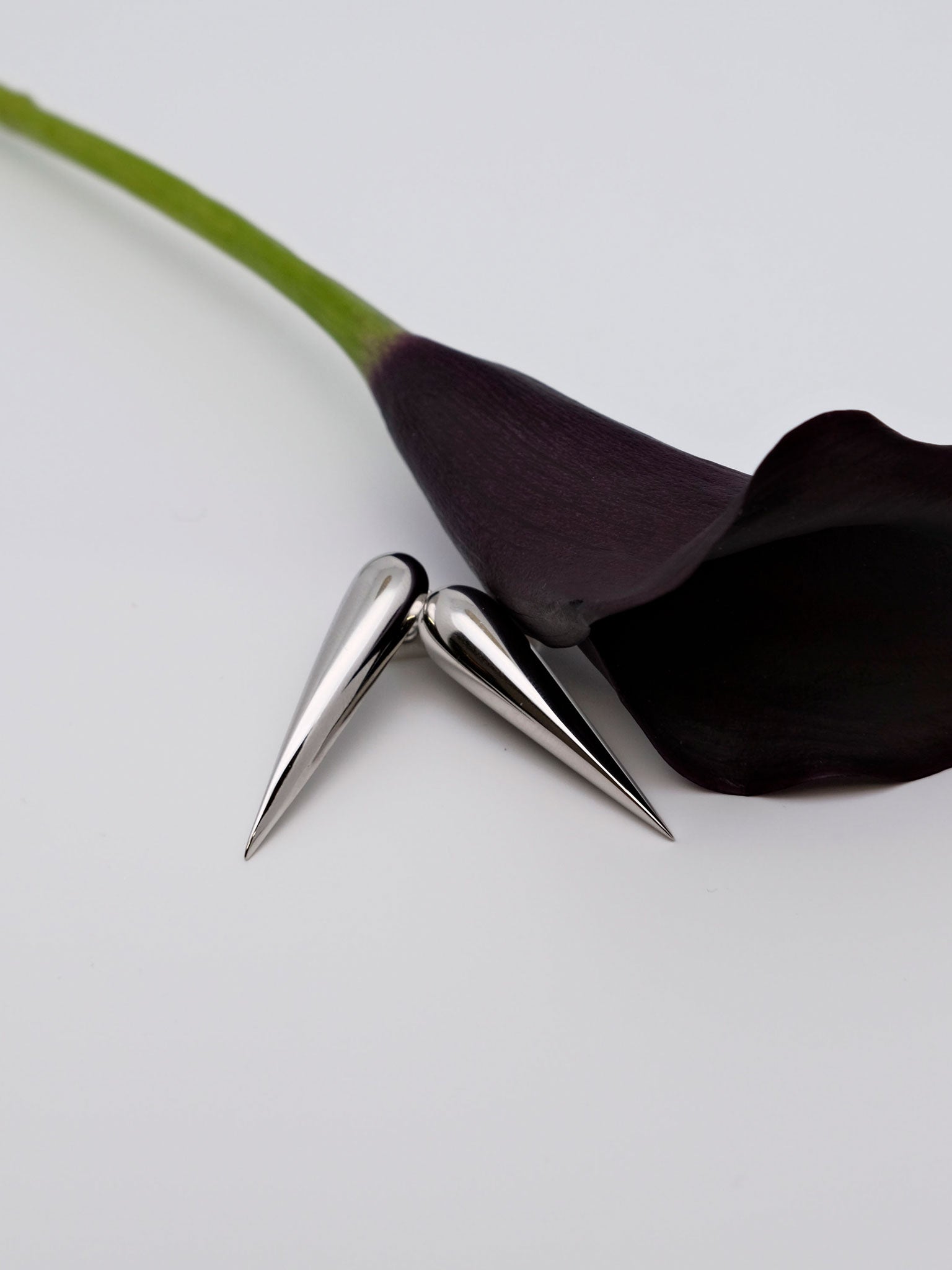 CARA Silver Earrings